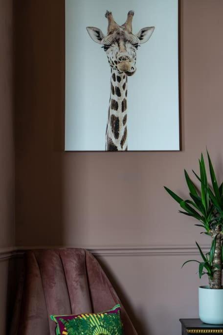 Stylish Beachfront Apartment, Sweeping Ocean Views And Luxury Touches Herne Bay Exterior foto